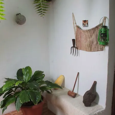Vivienda Vacacional Sabinosa Extérieur photo