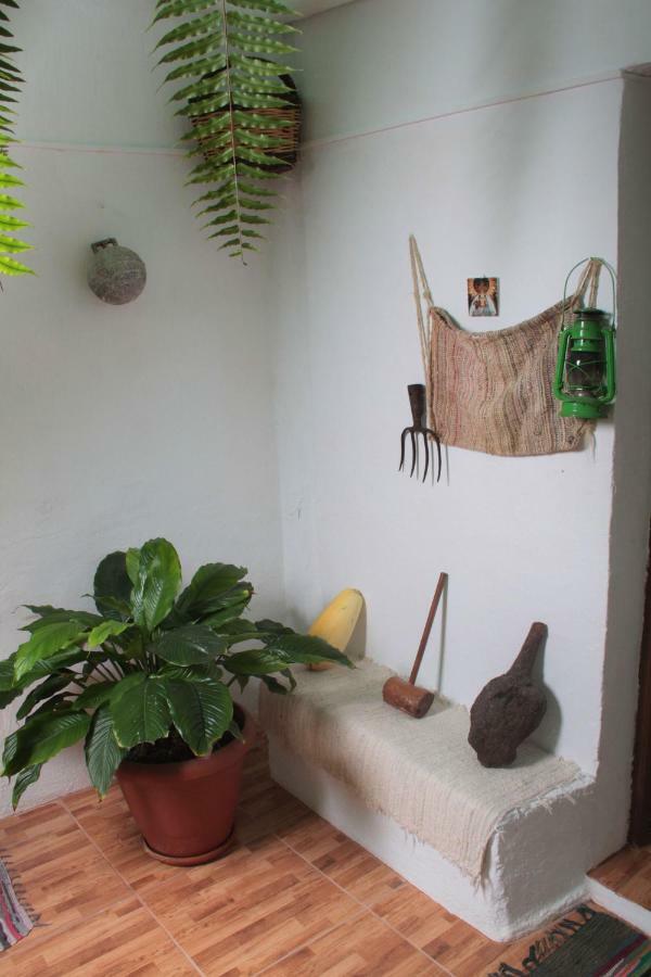 Vivienda Vacacional Sabinosa